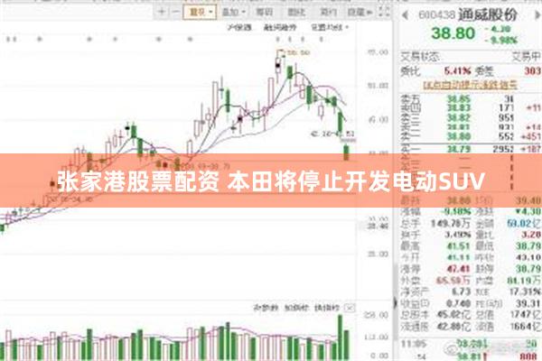 张家港股票配资 本田将停止开发电动SUV