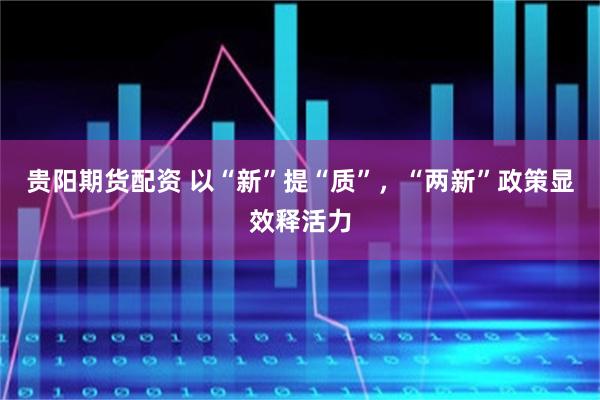 贵阳期货配资 以“新”提“质”，“两新”政策显效释活力