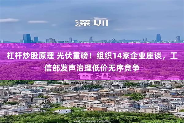 杠杆炒股原理 光伏重磅！组织14家企业座谈，工信部发声治理低价无序竞争