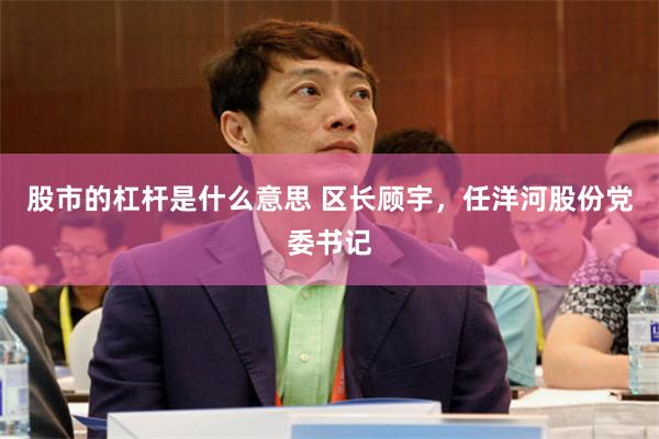 股市的杠杆是什么意思 区长顾宇，任洋河股份党委书记