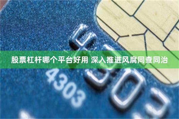 股票杠杆哪个平台好用 深入推进风腐同查同治