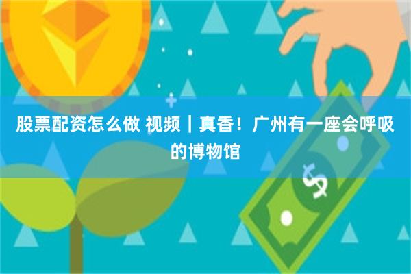 股票配资怎么做 视频｜真香！广州有一座会呼吸的博物馆