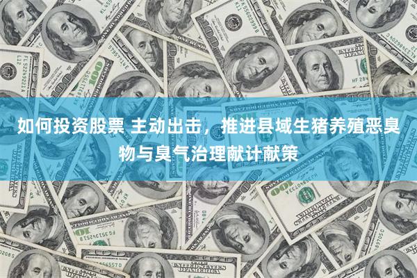 如何投资股票 主动出击，推进县域生猪养殖恶臭物与臭气治理献计献策