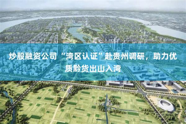 炒股融资公司 “湾区认证”赴贵州调研，助力优质黔货出山入湾