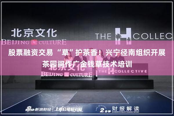 股票融资交易 “草”护茶香！兴宁径南组织开展茶园间作广金钱草技术培训