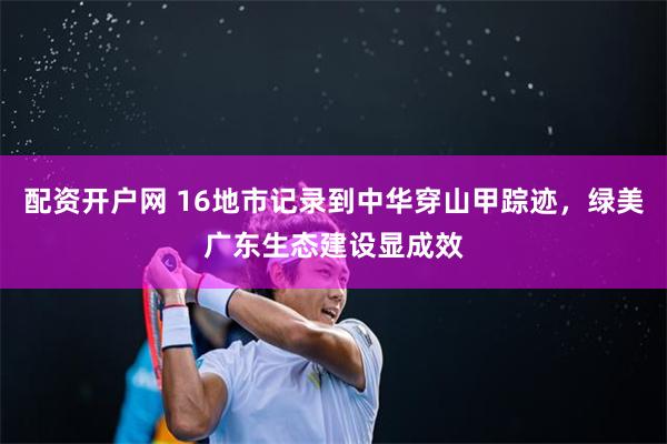 配资开户网 16地市记录到中华穿山甲踪迹，绿美广东生态建设显成效