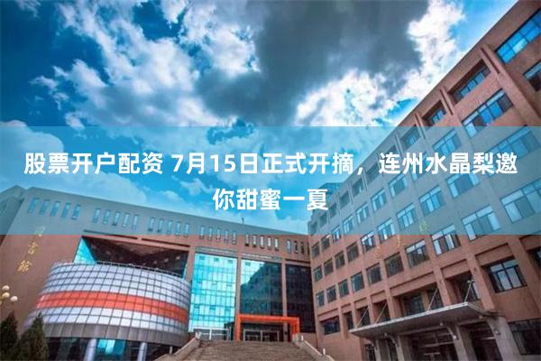 股票开户配资 7月15日正式开摘，连州水晶梨邀你甜蜜一夏