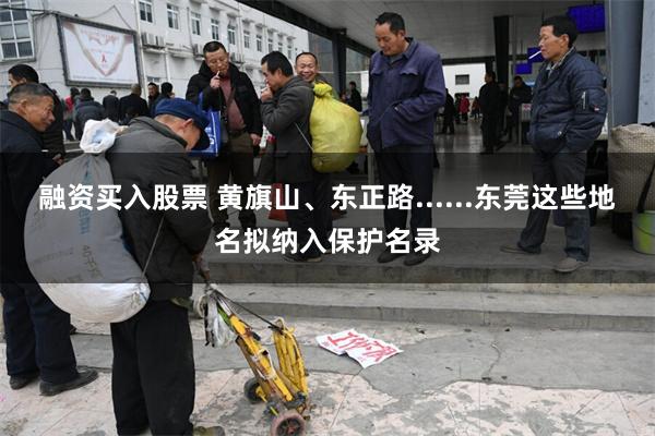融资买入股票 黄旗山、东正路......东莞这些地名拟纳入保护名录