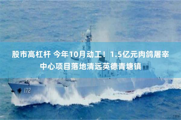 股市高杠杆 今年10月动工！1.5亿元肉鸽屠宰中心项目落地清远英德青塘镇