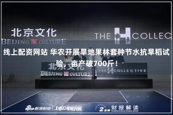 线上配资网站 华农开展旱地果林套种节水抗旱稻试验，亩产破700斤！