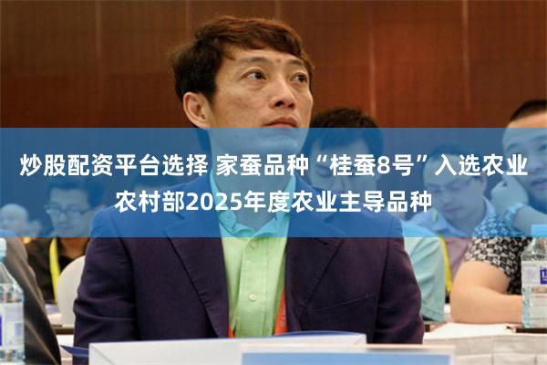 炒股配资平台选择 家蚕品种“桂蚕8号”入选农业农村部2025年度农业主导品种