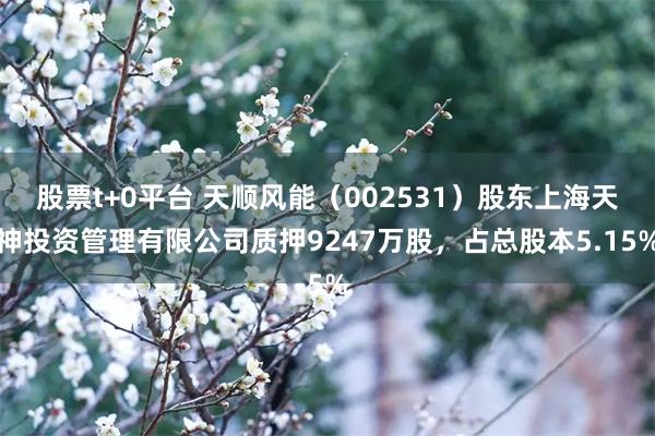 股票t+0平台 天顺风能(002531)股东上海天神投资管理有限公司质押9247万股,占总股本5.15%