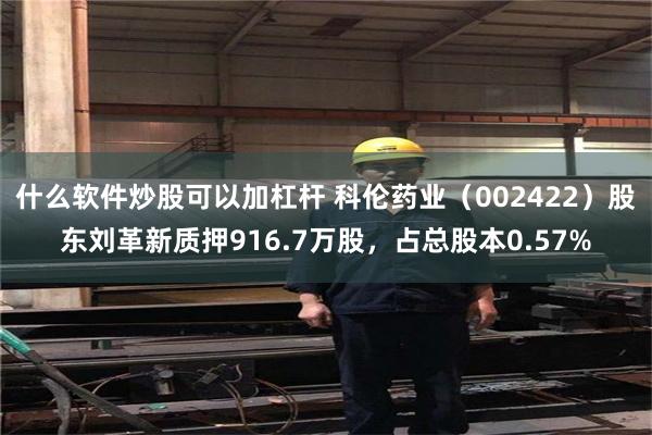 什么软件炒股可以加杠杆 科伦药业(002422)股东刘革新质押916.7万股,占总股本0.57%