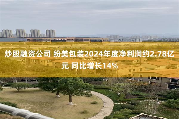 炒股融资公司 纷美包装2024年度净利润约2.78亿元 同比增长14%