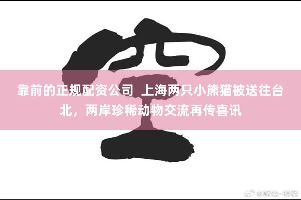 靠前的正规配资公司  上海两只小熊猫被送往台北，两岸珍稀动物交流再传喜讯