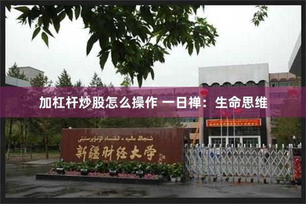 加杠杆炒股怎么操作 一日禅：生命思维