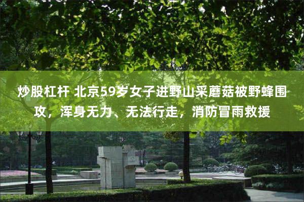炒股杠杆 北京59岁女子进野山采蘑菇被野蜂围攻，浑身无力、无法行走，消防冒雨救援