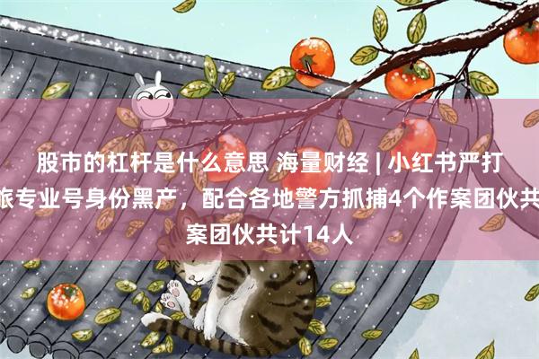 股市的杠杆是什么意思 海量财经 | 小红书严打伪造文旅专业号身份黑产，配合各地警方抓捕4个作案团伙共计14人