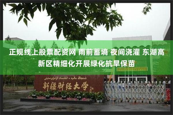 正规线上股票配资网 雨前蓄墒 夜间浇灌 东湖高新区精细化开展绿化抗旱保苗