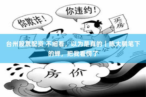 台州股票配资 不细看,以为是真的|陈大鹏笔下的蝉,把我看愣了