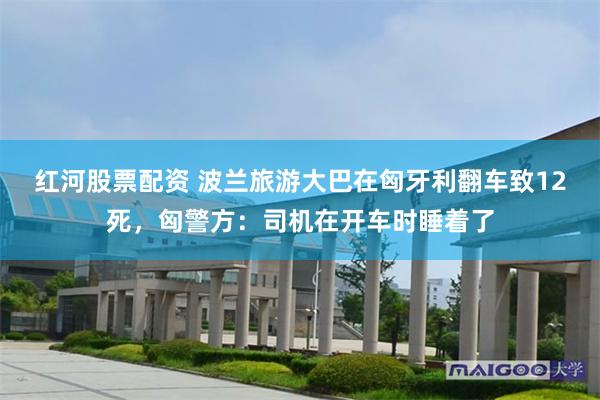红河股票配资 波兰旅游大巴在匈牙利翻车致12死，匈警方：司机在开车时睡着了