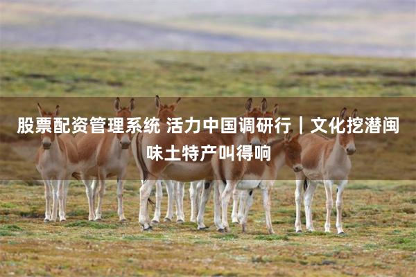 股票配资管理系统 活力中国调研行|文化挖潜 闽味土特产叫得响
