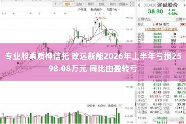专业股票质押信托 致远新能2026年上半年亏损2598.08万元 同比由盈转亏