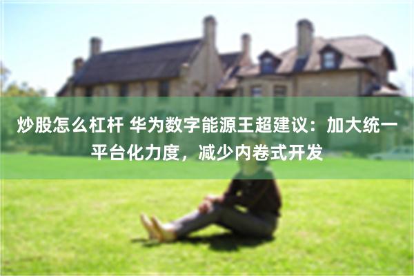 炒股怎么杠杆 华为数字能源王超建议：加大统一平台化力度，减少内卷式开发
