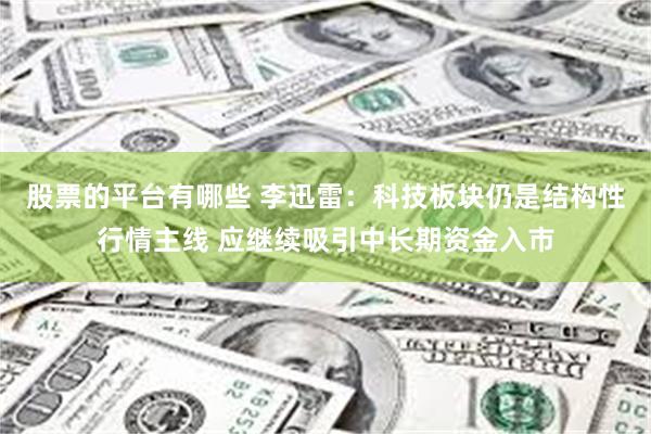 股票的平台有哪些 李迅雷：科技板块仍是结构性行情主线 应继续吸引中长期资金入市