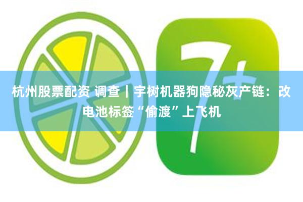 杭州股票配资 调查｜宇树机器狗隐秘灰产链：改电池标签“偷渡”上飞机