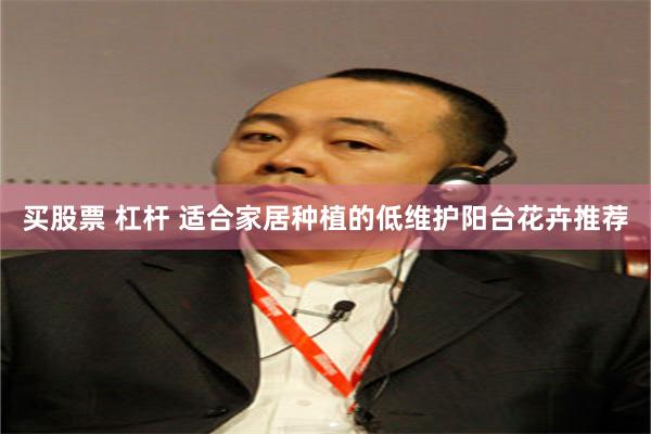 买股票 杠杆 适合家居种植的低维护阳台花卉推荐