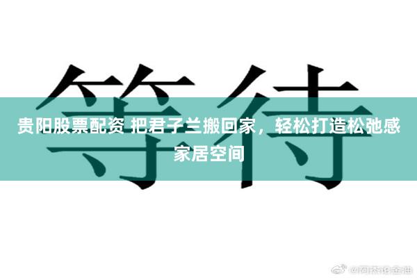贵阳股票配资 把君子兰搬回家，轻松打造松弛感家居空间